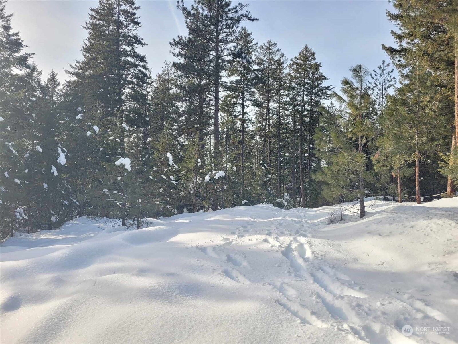 Property Photo: 7 Hoedown Place WA 98855