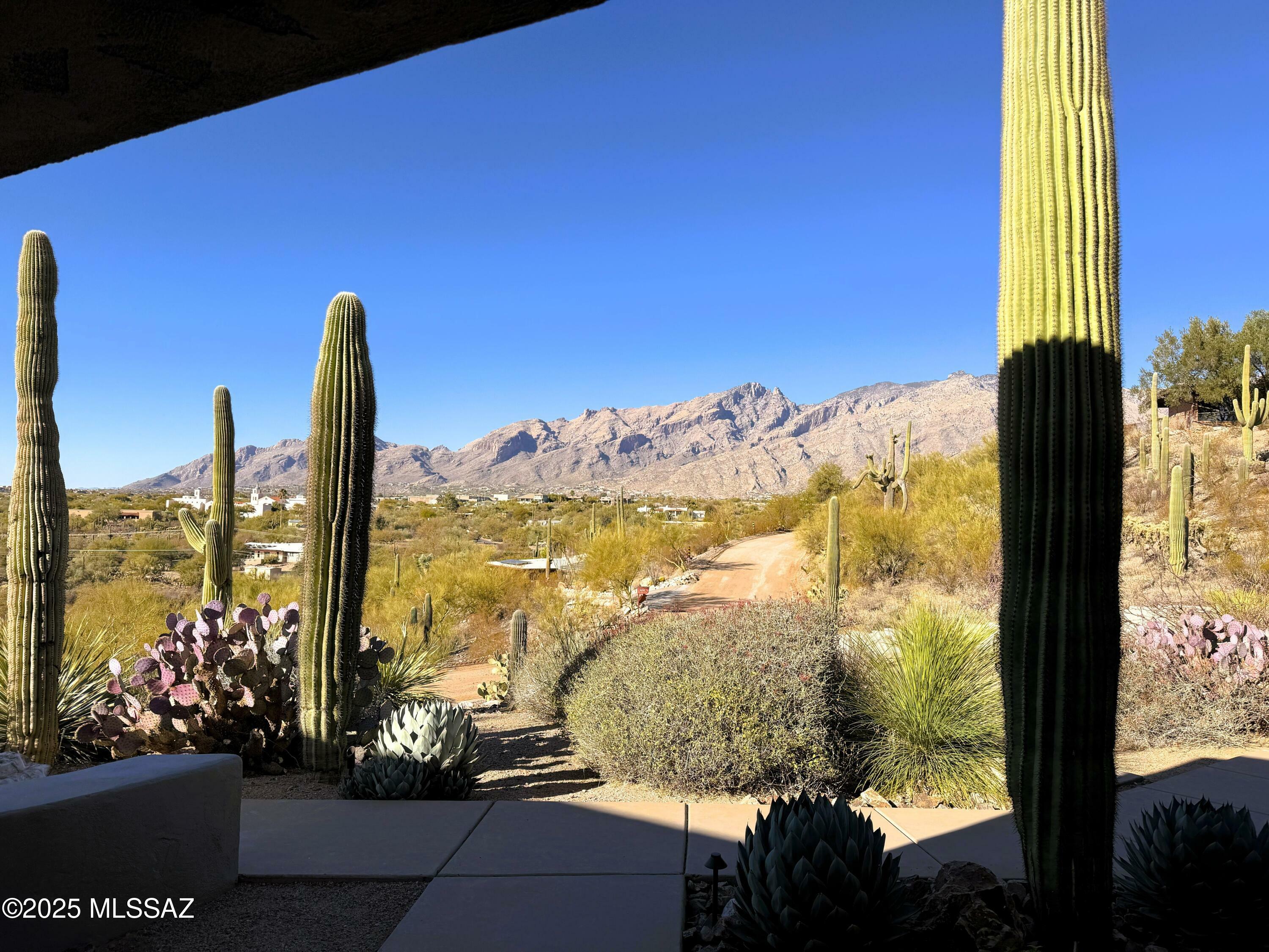 Property Photo:  4930 N Calle Bendita  AZ 85718 