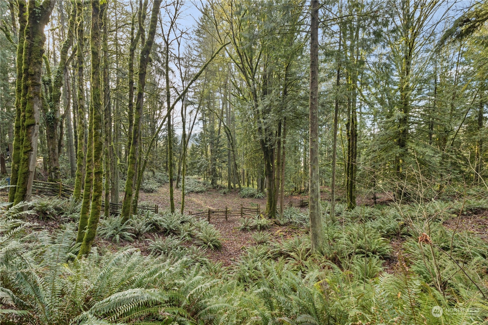 Property Photo:  23827 SE Green Valley Road  WA 98092 