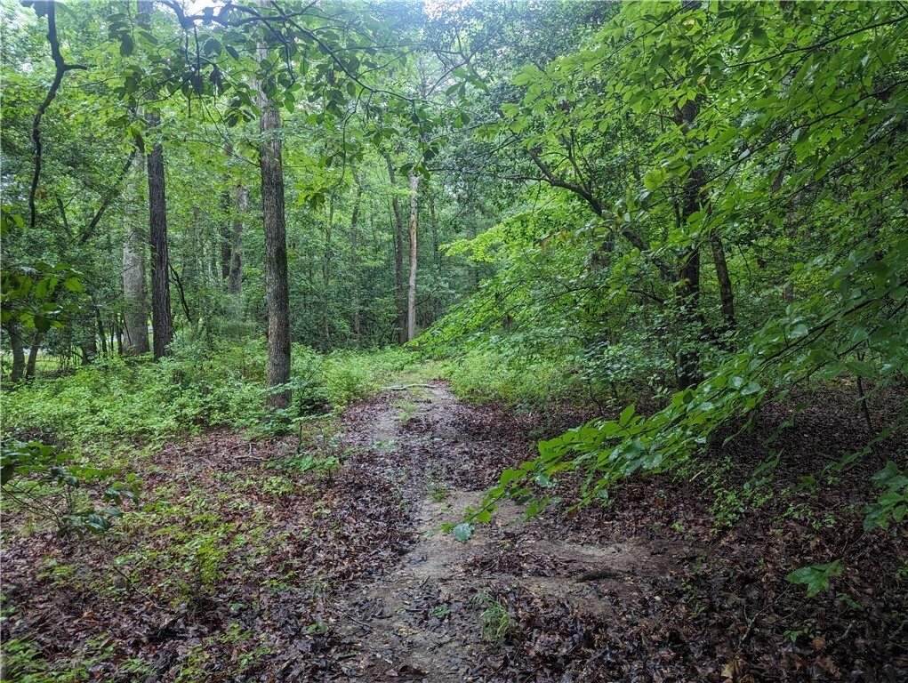 Property Photo: 0 Good Hope Road VA 23089