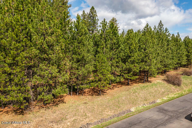 Property Photo:  Nna W Platinum Dr  ID 83814 