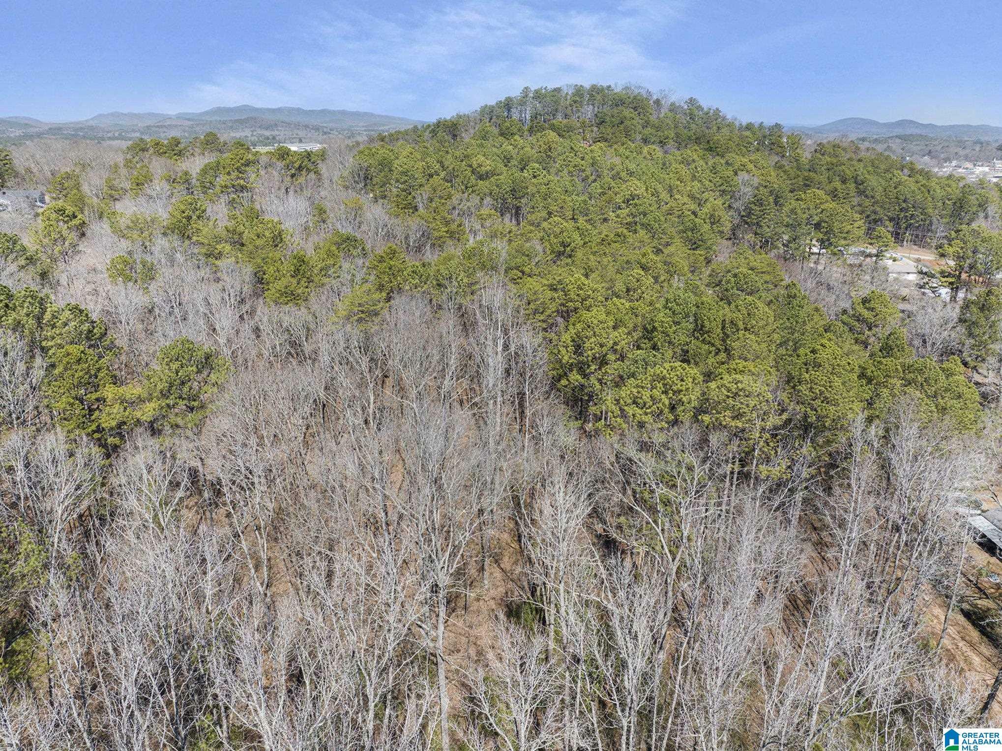 Property Photo: 0 Oak Ridge Lane 0 AL 36272