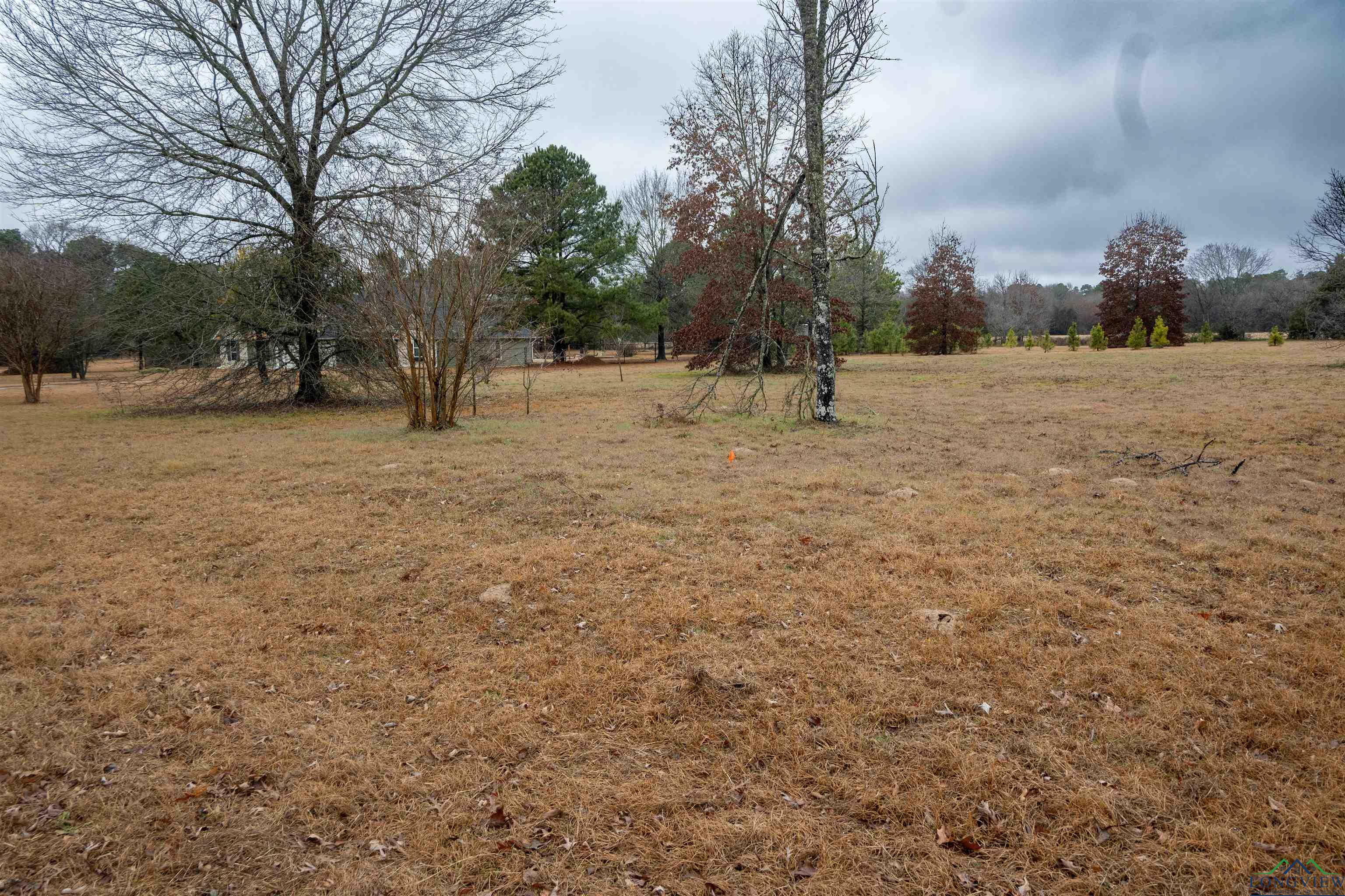 Property Photo:  Tbd Cr 3271  TX 75773 