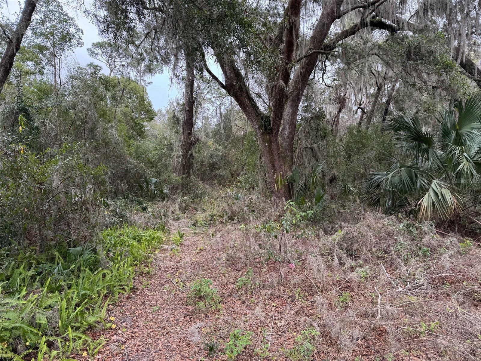 Property Photo:  Strickland Avenue  FL 32763 