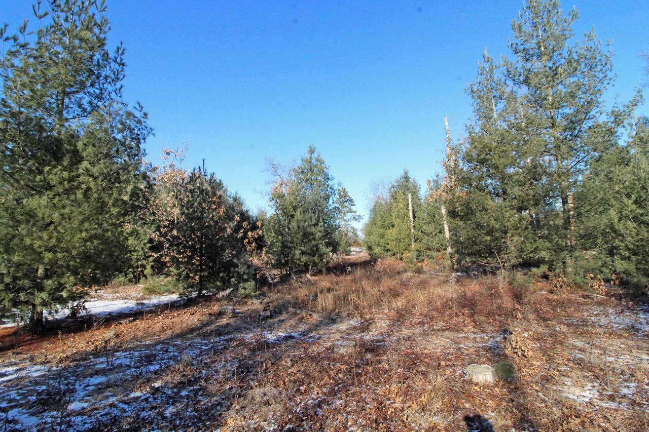 Property Photo:  Lot20 Timber Trail  WI 53588 