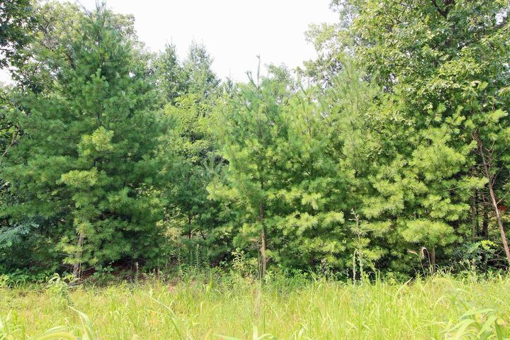 Property Photo:  Lot20 Timber Trail  WI 53588 