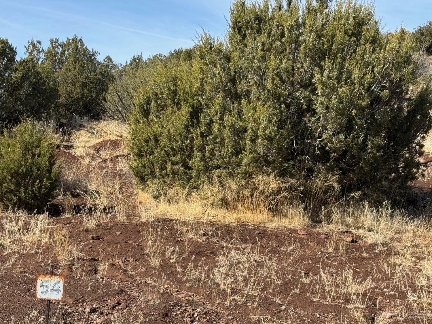Property Photo: 0 Ponderosa St CA 93561