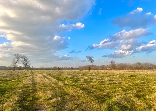 Property Photo:  00 Taylor Bridge  GA 30701 