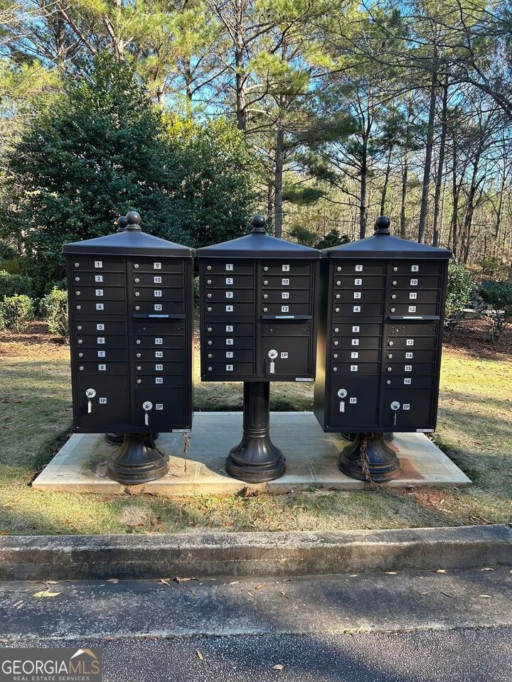 Property Photo:  47 Fish Camp  GA 30240 