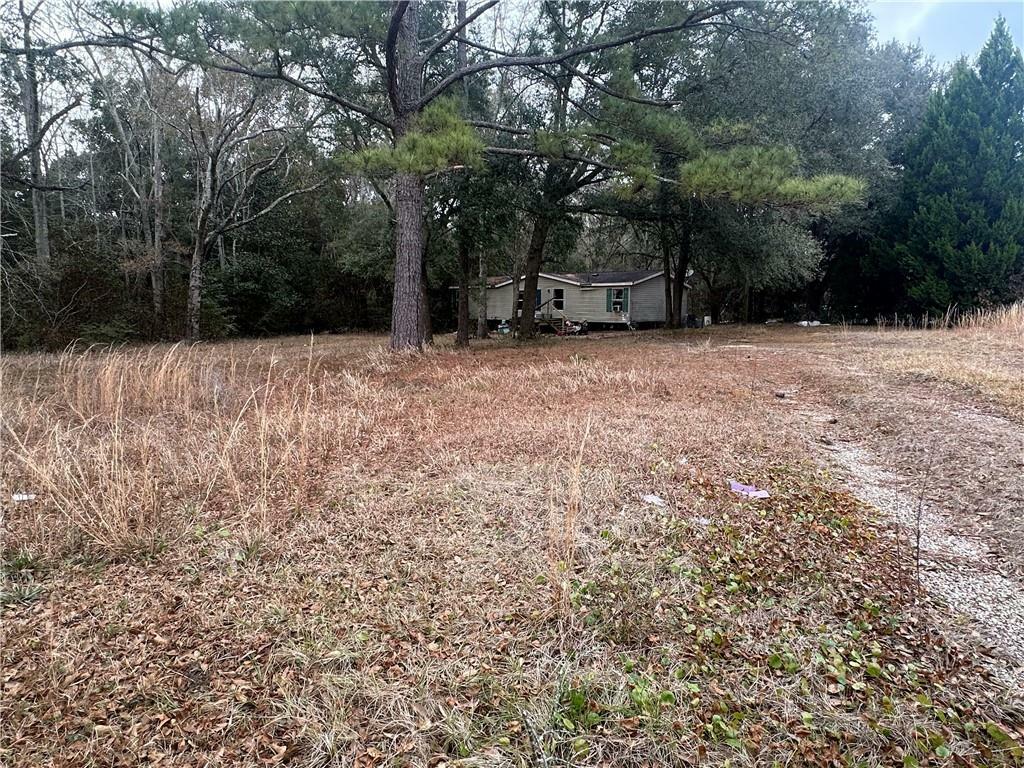 Property Photo:  12100 Homestead Avenue  AL 36541 