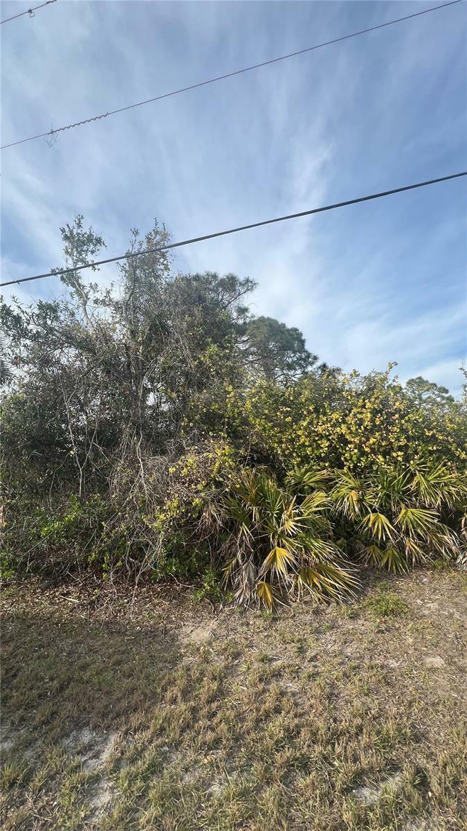 Property Photo:  128 Albatross Road  FL 33947 