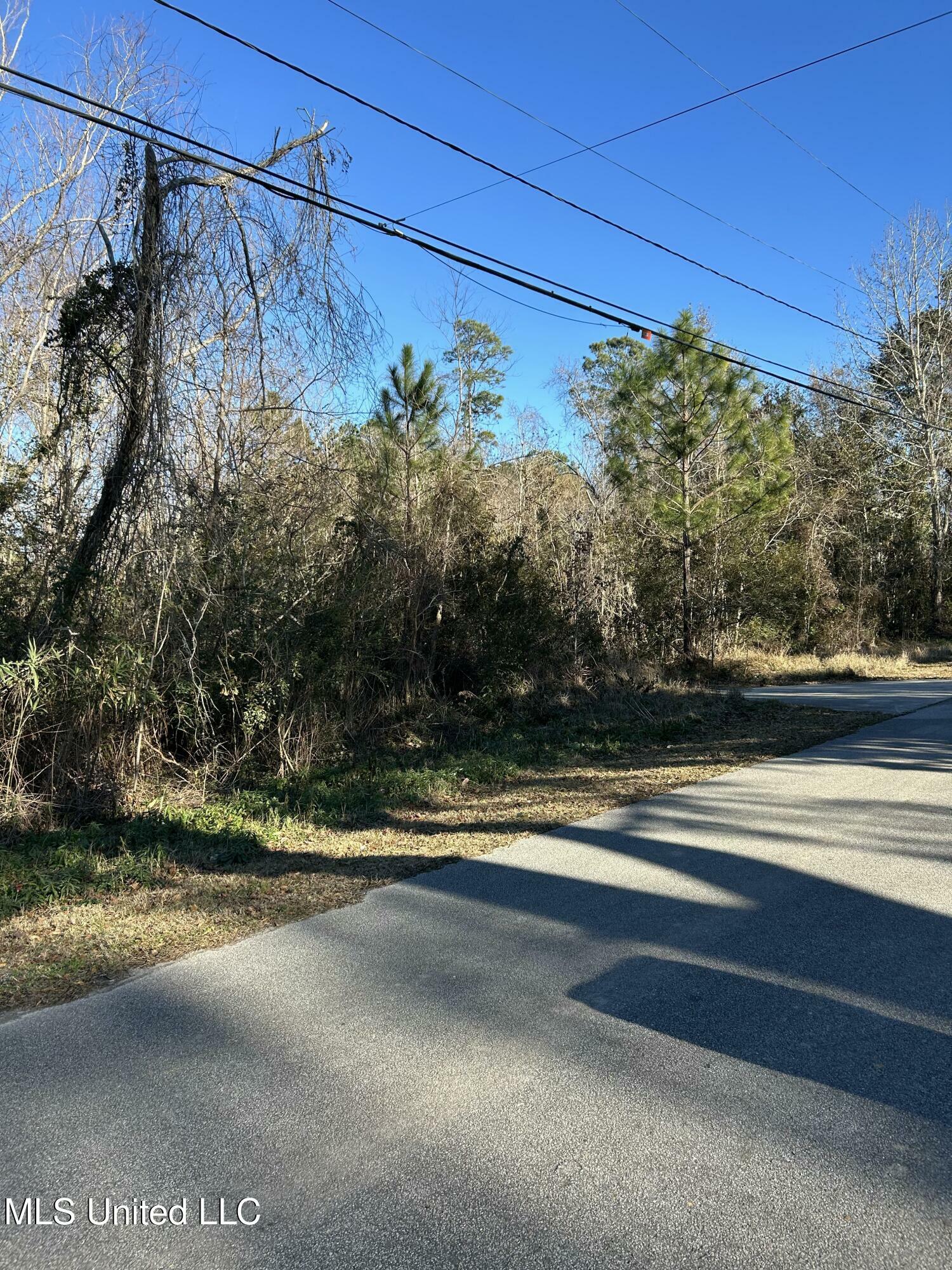 Property Photo:  236 Marcus Drive  MS 39576 