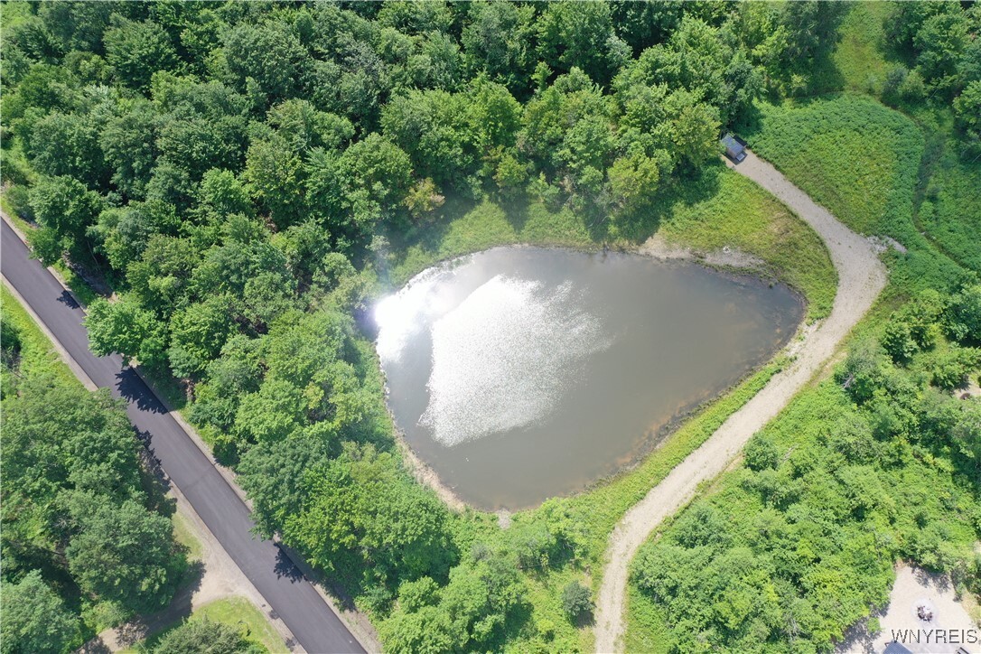 Property Photo: 7475 Dublin Road NY 14779