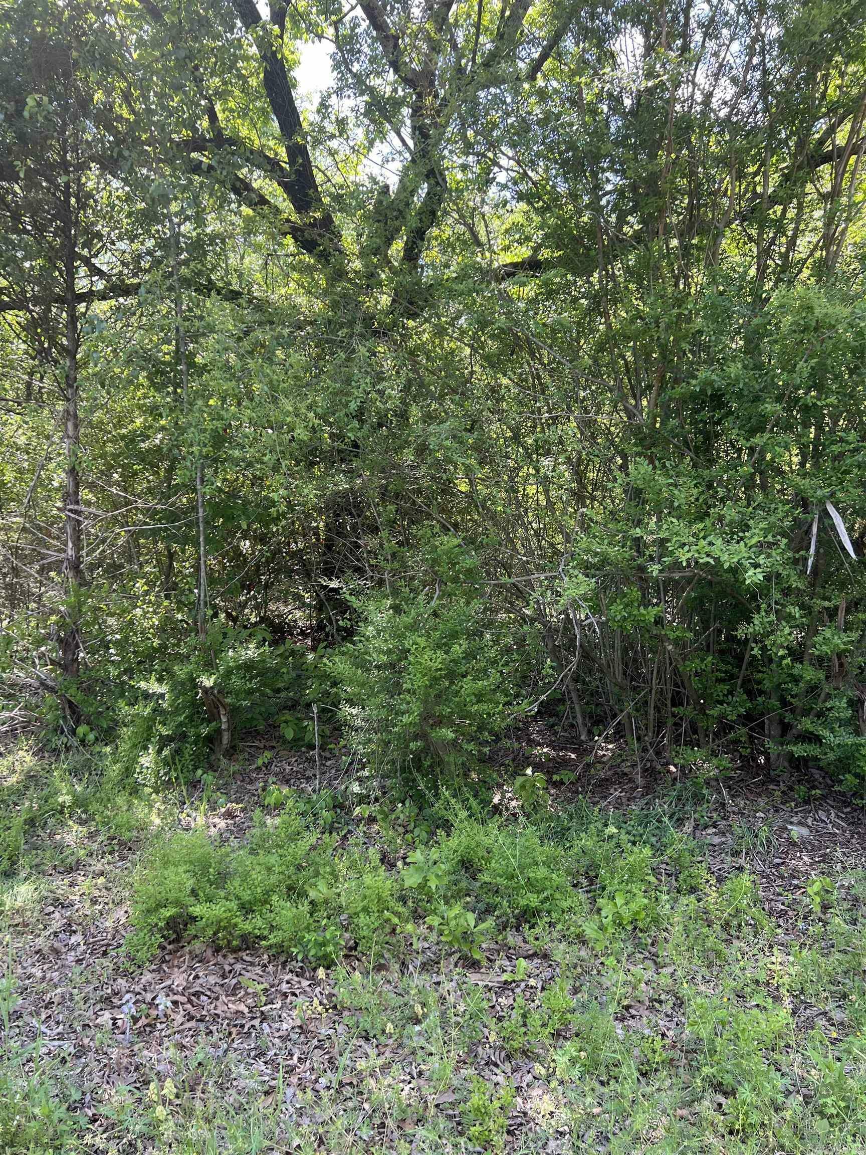 Property Photo: 508 N Center AR 72543