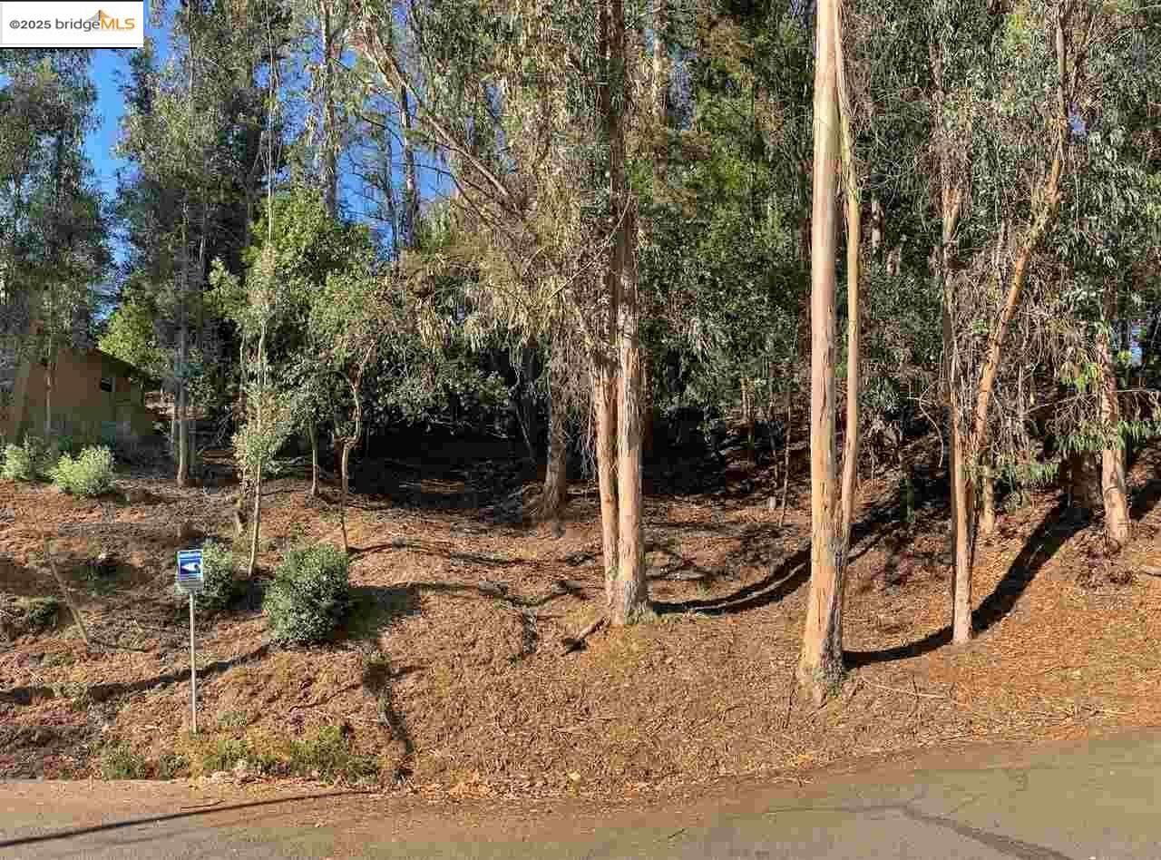 Property Photo: 6696 Moore Dr CA 94611