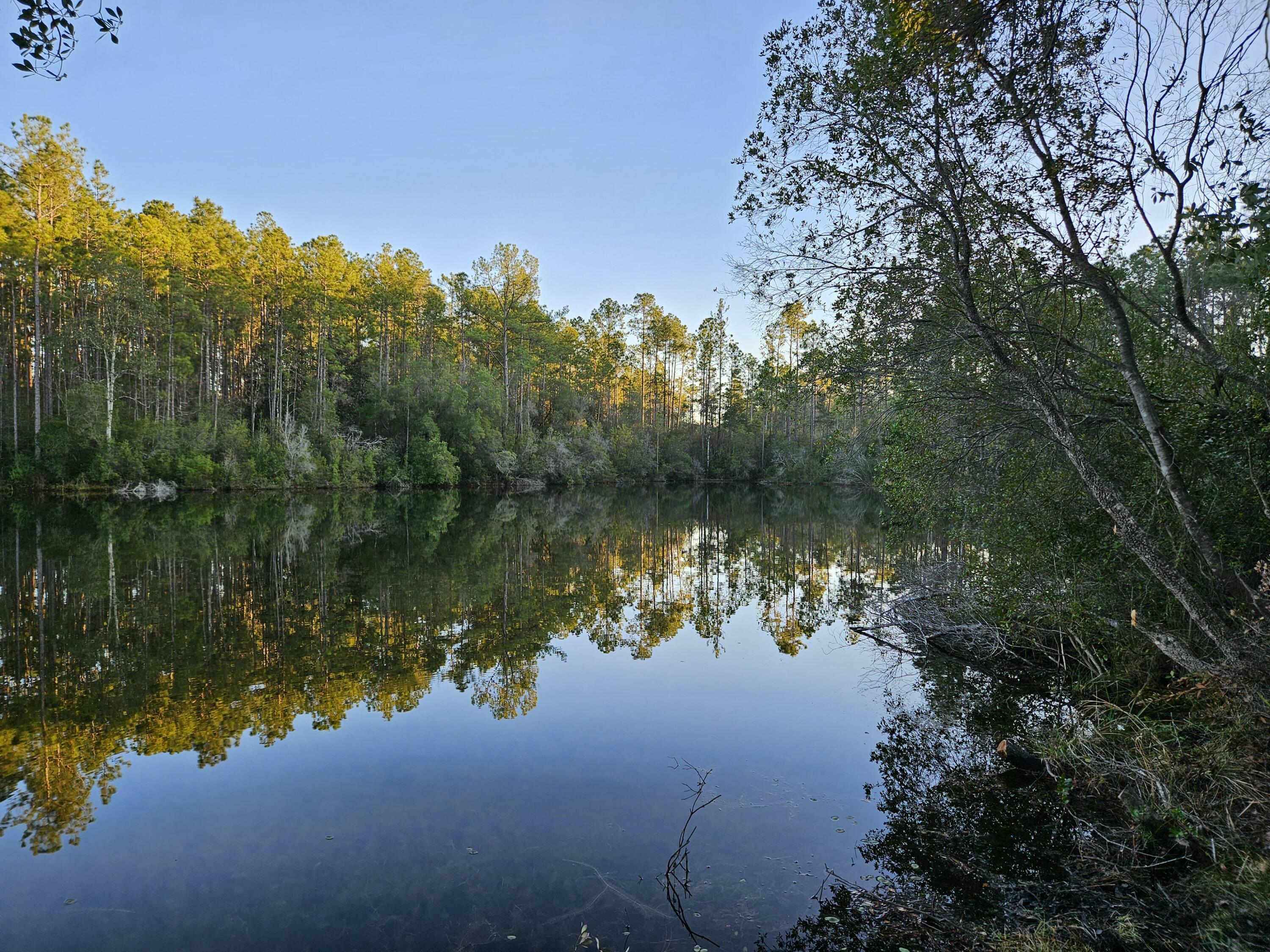 Property Photo:  Lot 16 Quail Ridge Road  FL 32435 