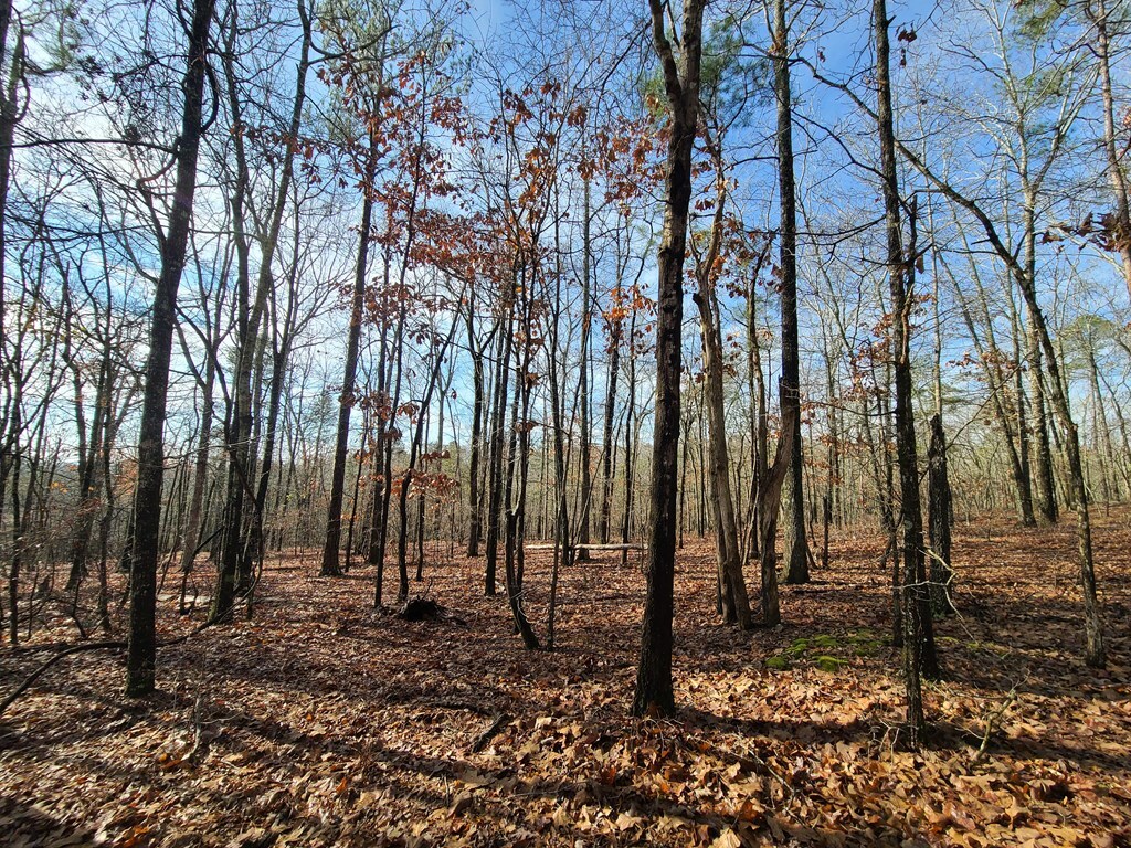 Property Photo:  Blk 34 Lot 6 Juniper Way  GA 31831 