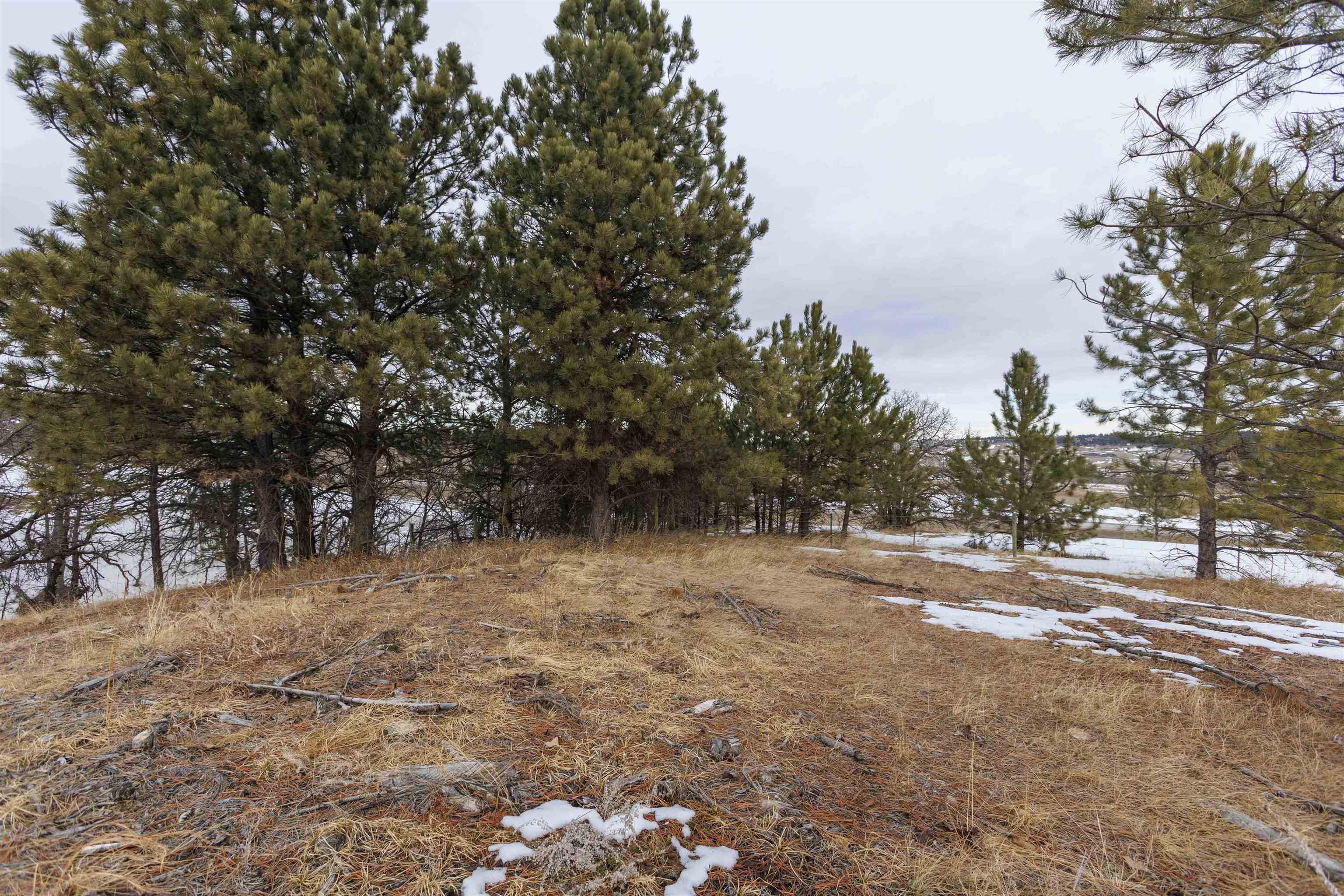 Lot 7 Oak Drive  Whitewood SD 57790 photo