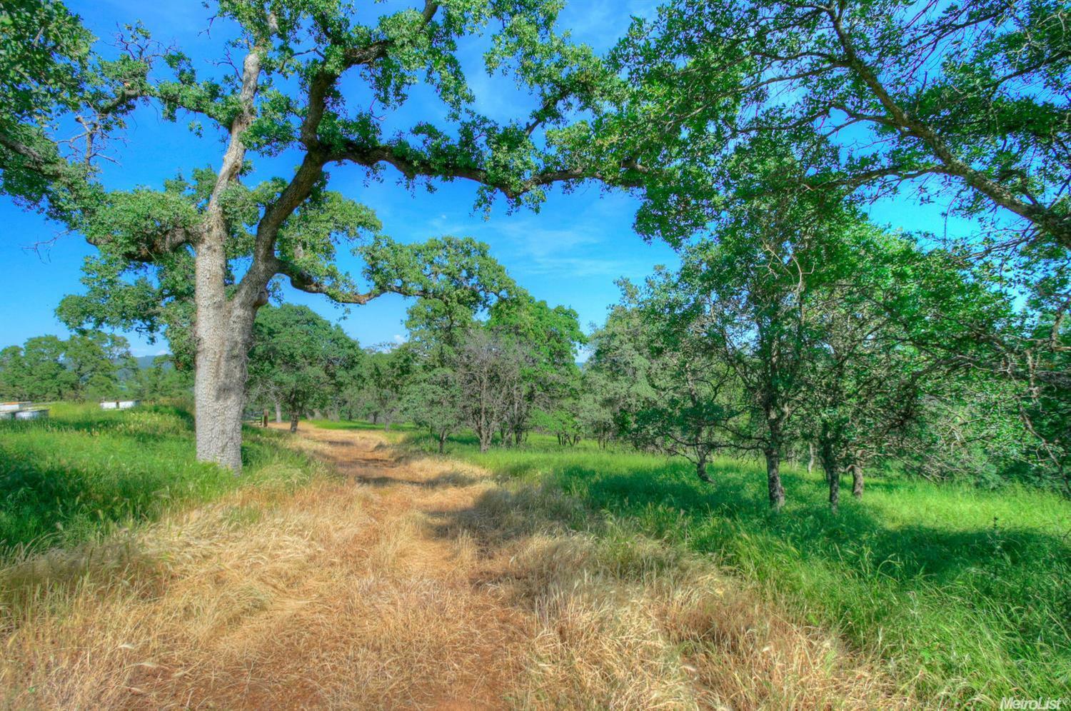 Property Photo:  5050 Garden Bar Road  CA 95648 