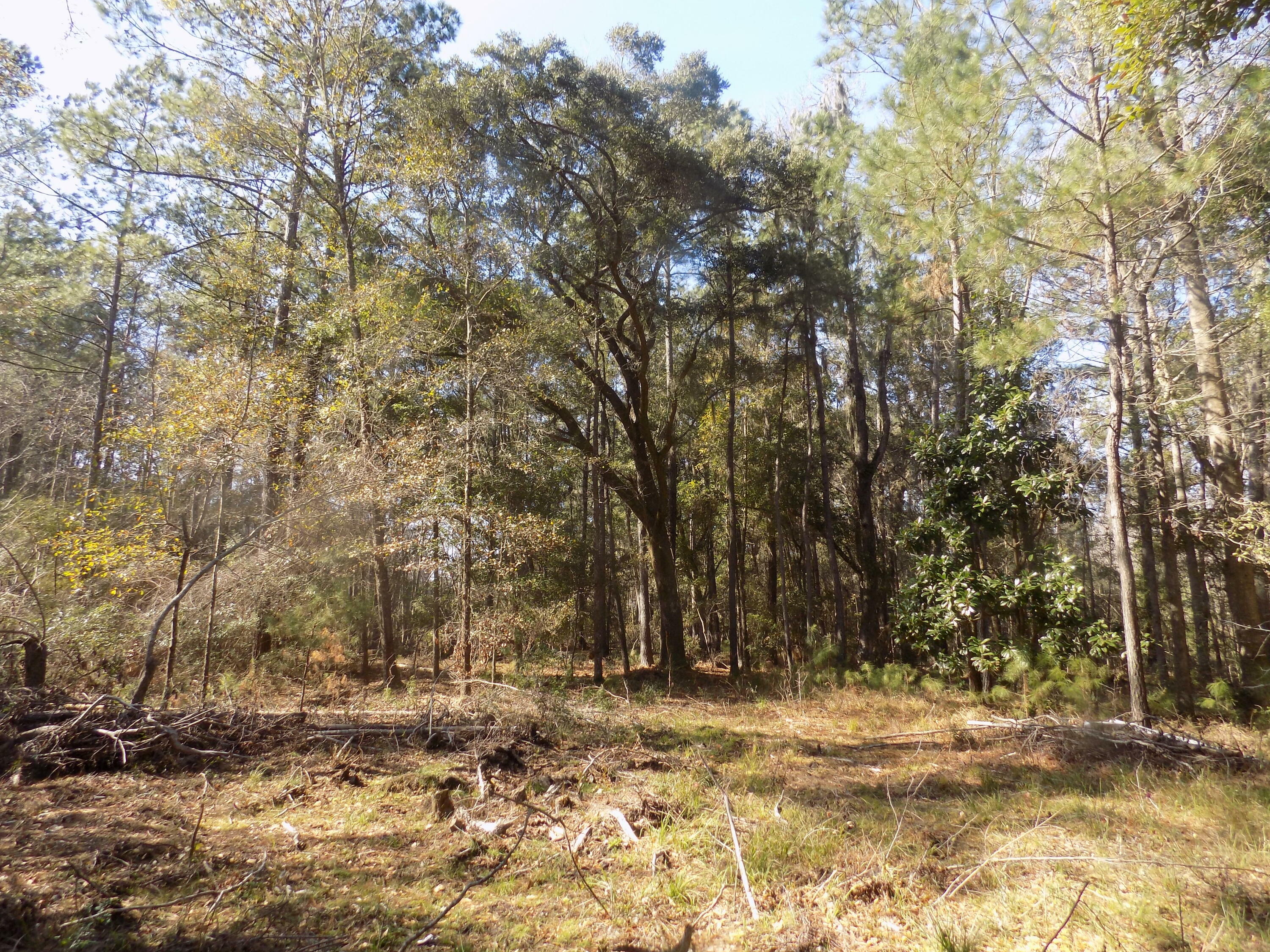 Property Photo:  2323 Highway 174  SC 29438 