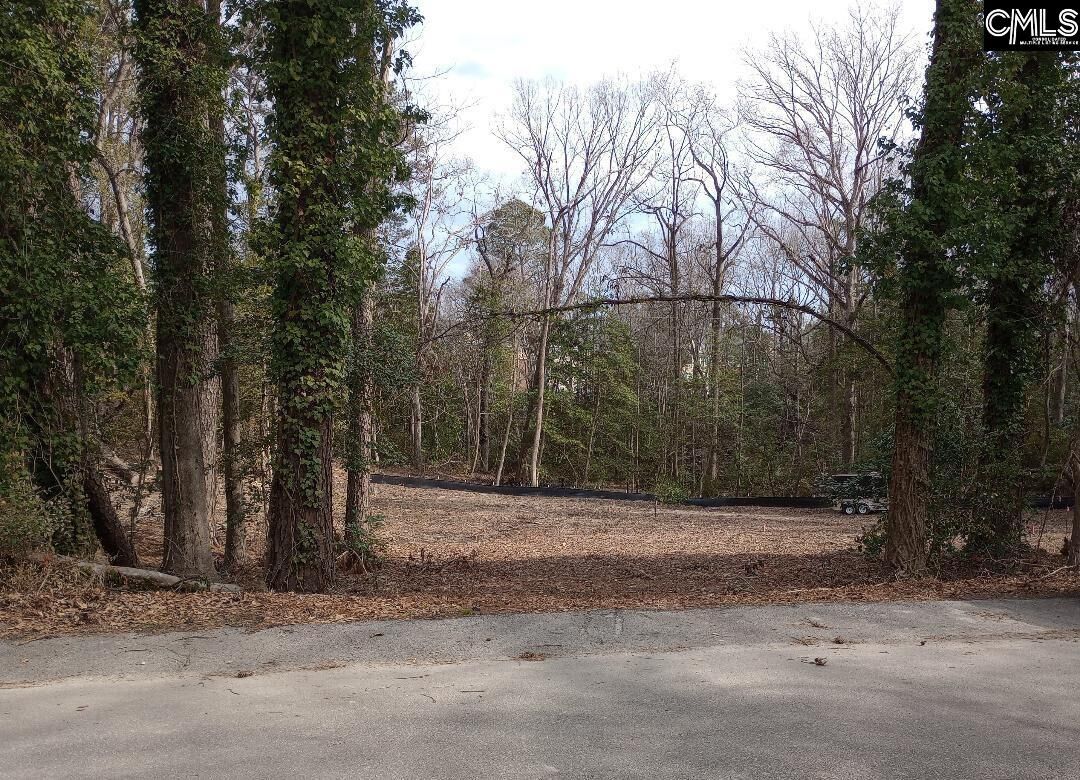 Property Photo:  0 Laurel Bluff  SC 29072