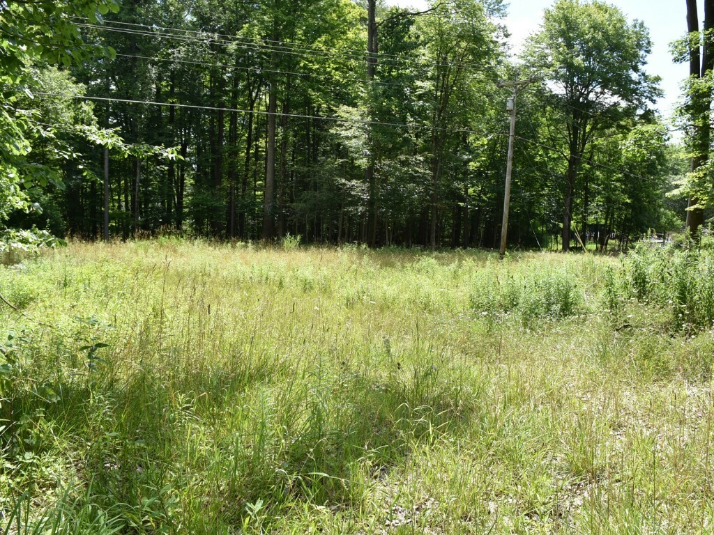 Property Photo:  10312 Perry Highway  PA 16335 