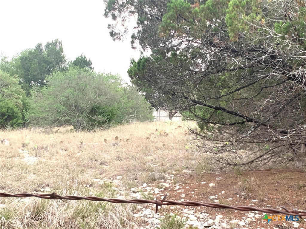 Property Photo:  0 Firefly Road  TX 76527 