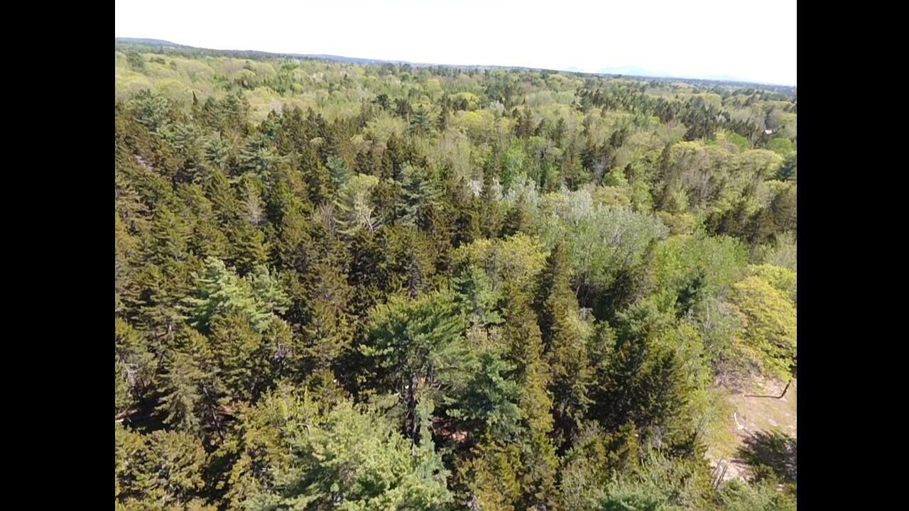 Property Photo: 45 Higg Street ME 04664