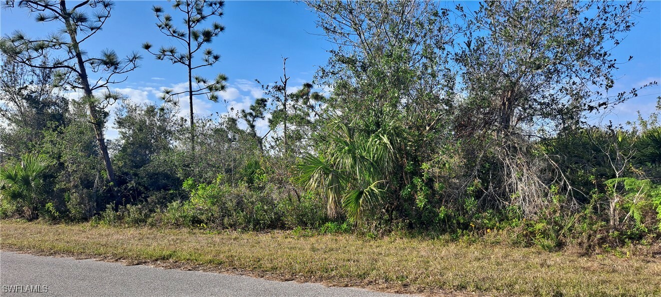 Property Photo:  12392 Altamira Avenue  FL 33981 