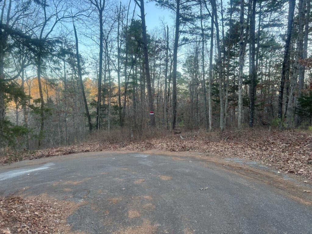 Property Photo: Lot 1 Newlyn Lane AR 72714