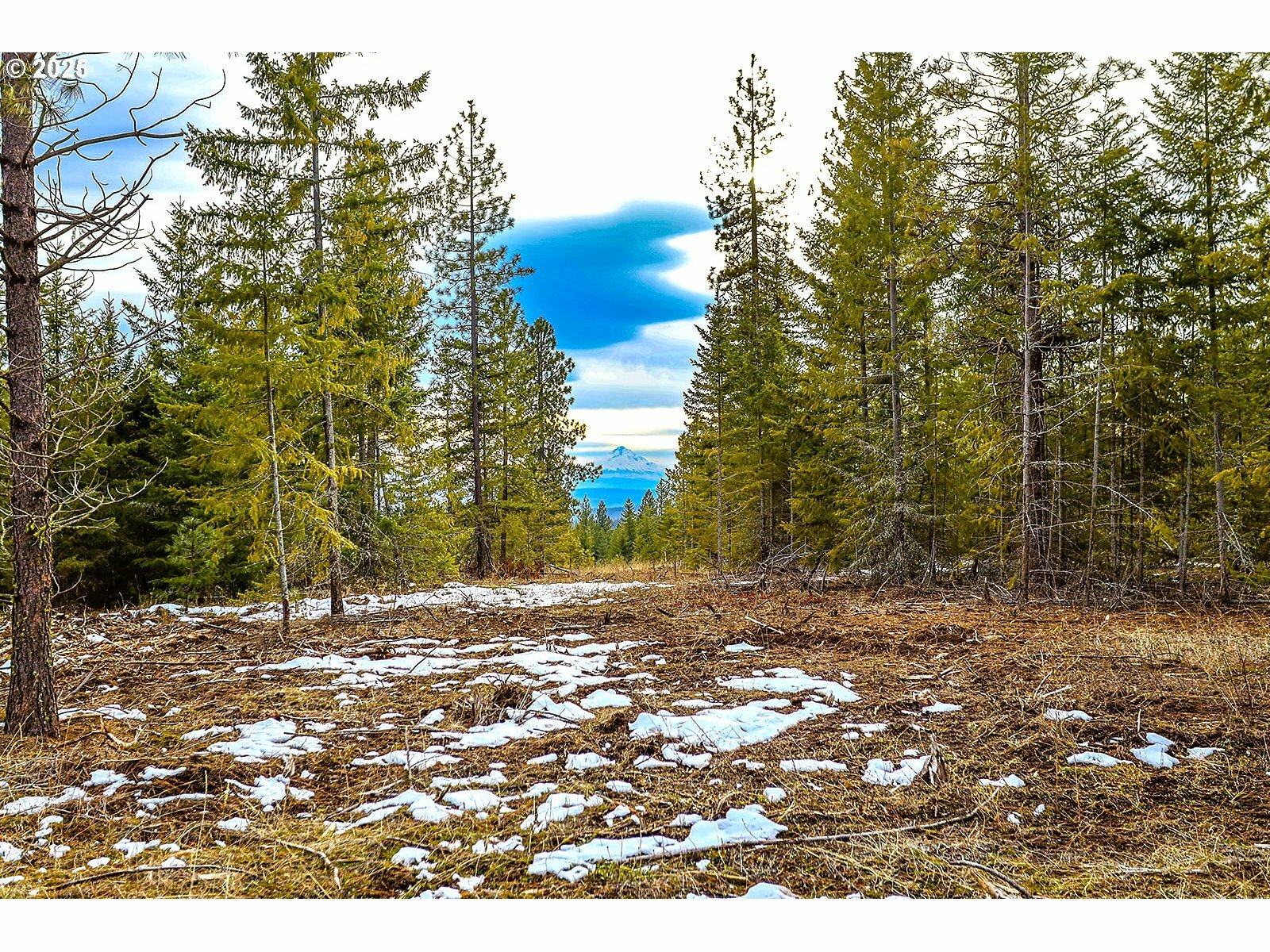 Property Photo:  Ranger Rd - Lot 1A  WA 98620 