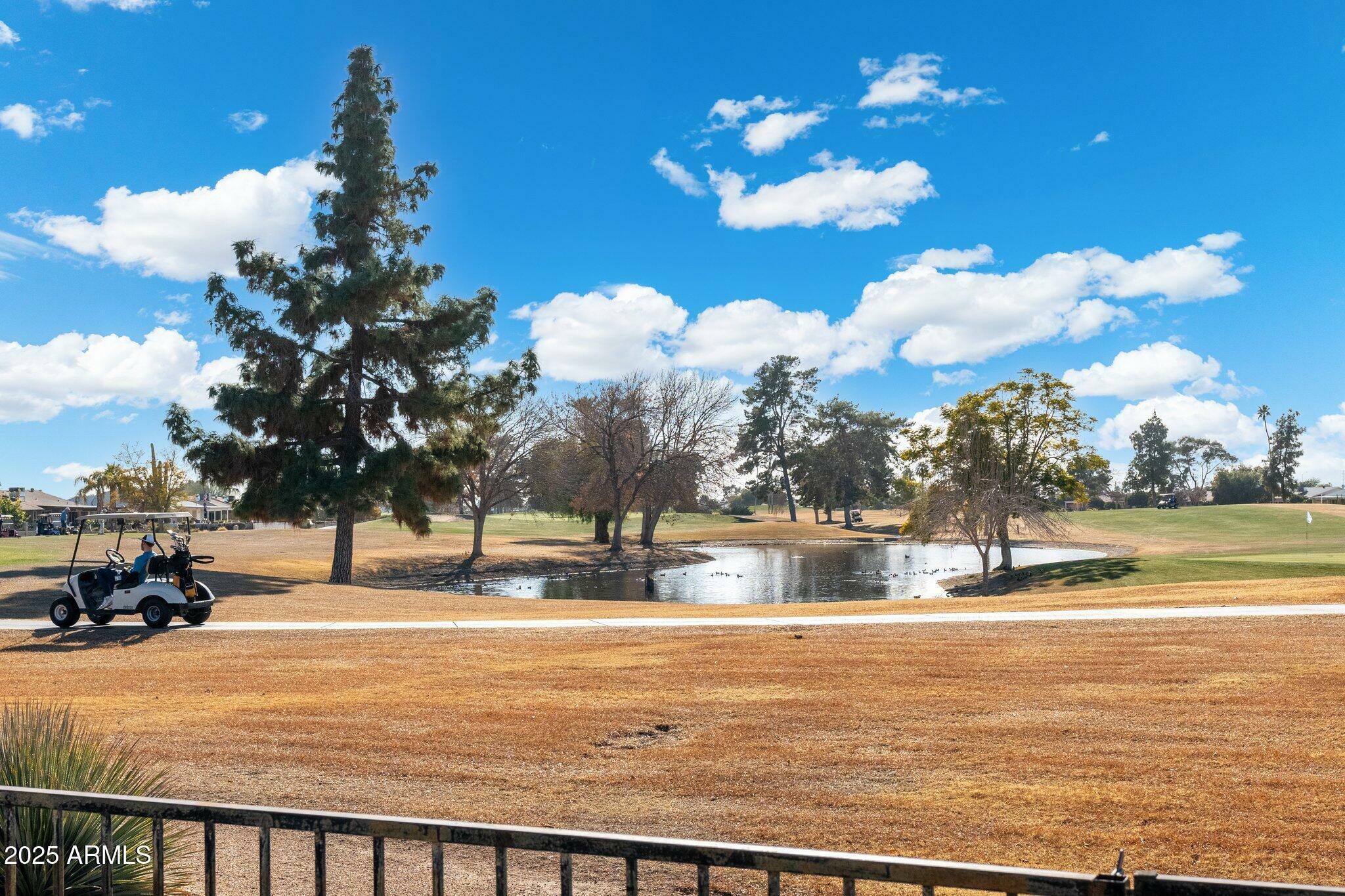 Property Photo:  19820 N Cherry Tree Lane  AZ 85373 