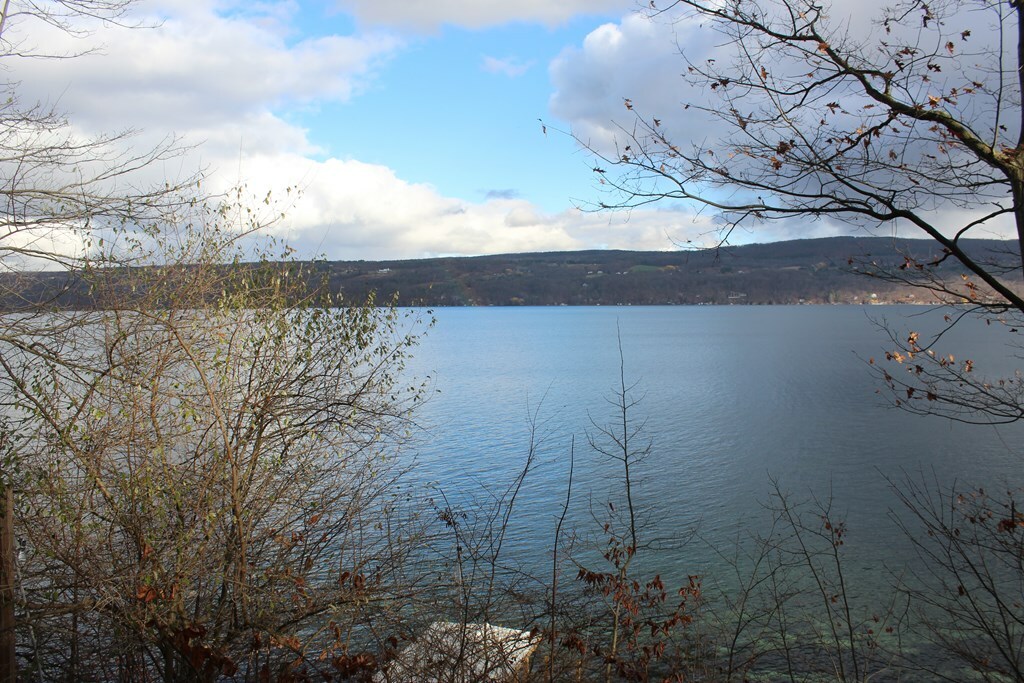 Property Photo: 4362 Argetsinger Road NY 14878