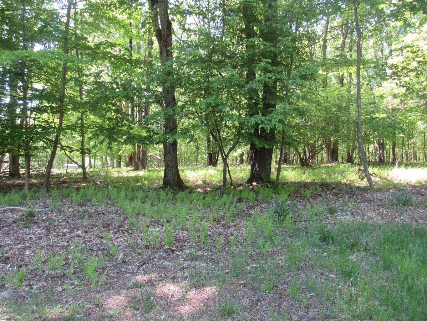 Property Photo:  14 Port Au Prince Rd  PA 15801 