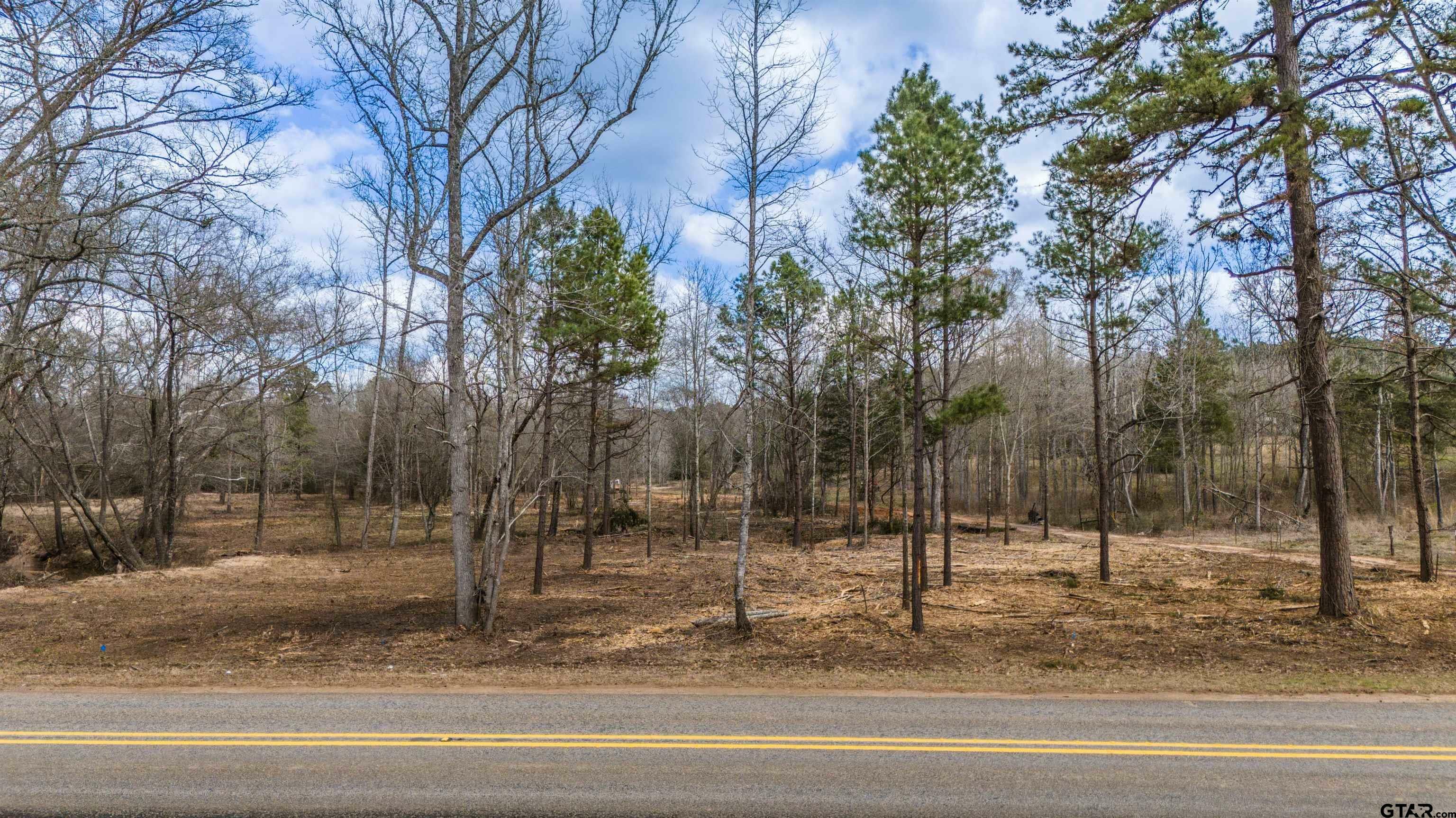 Property Photo:  Tbd Fm 838  TX 75684 