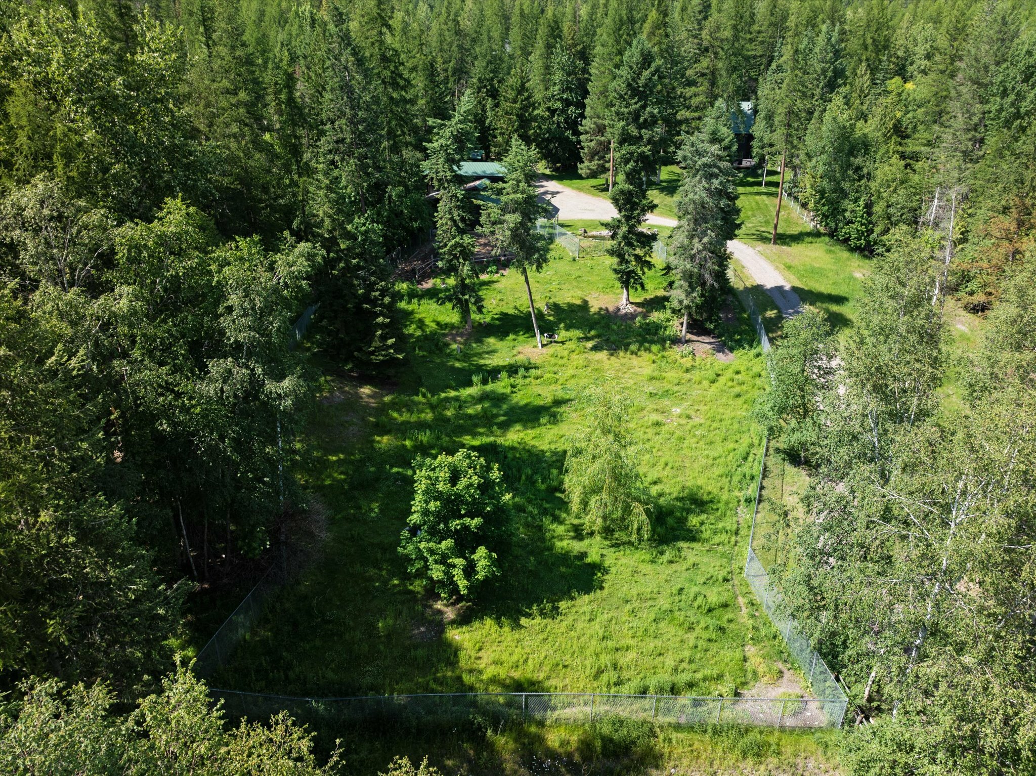 Property Photo:  679 North Valley Drive  MT 59937 