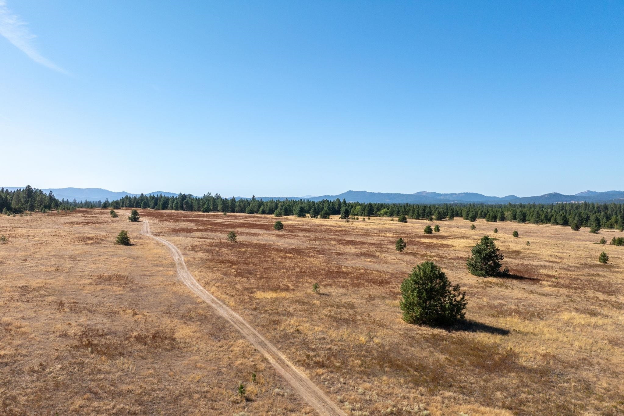 Property Photo:  Nka E Slaton Rd Lot 37  WA 99006 