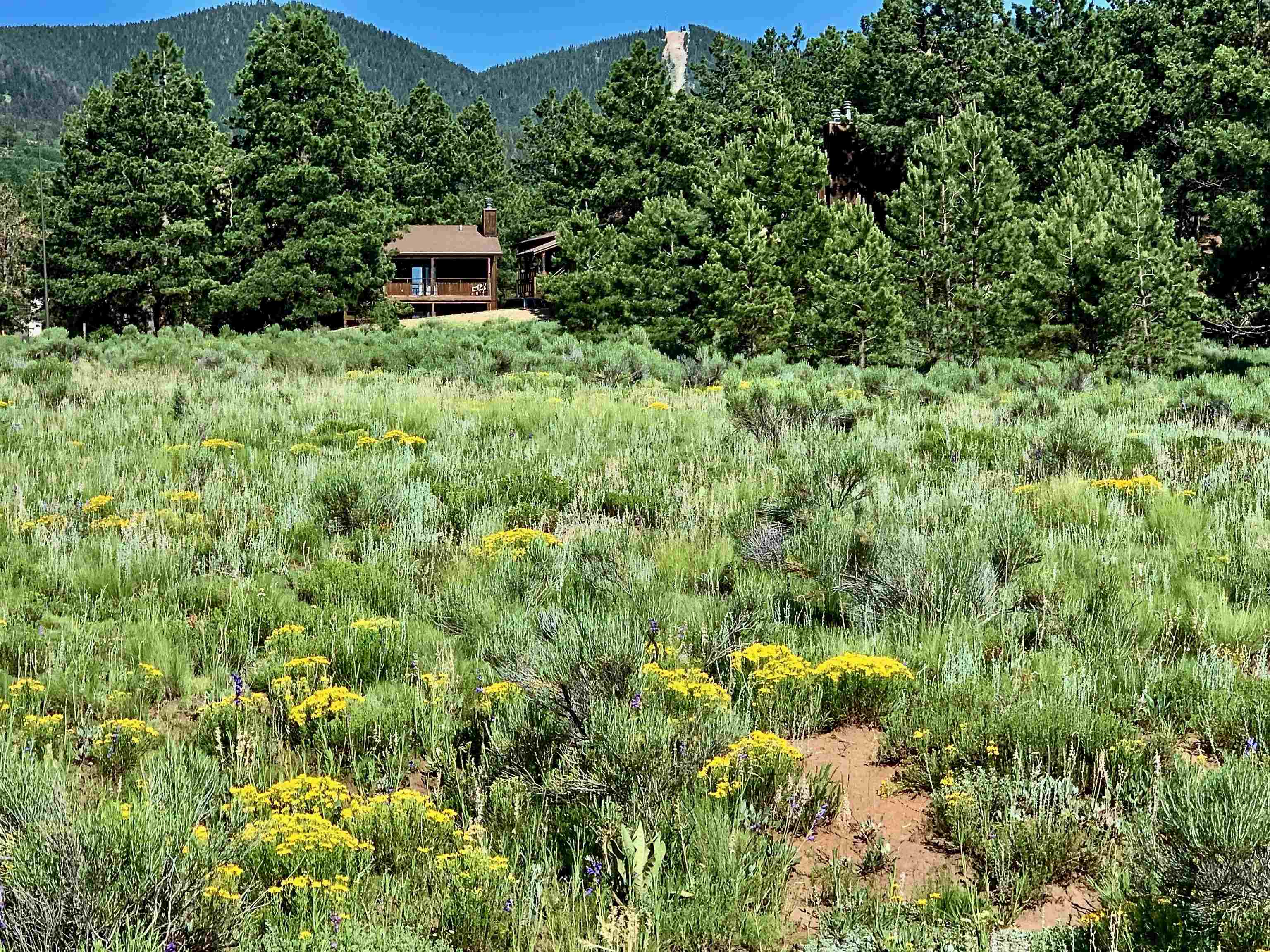 Property Photo: Blk F 2 Thru 8 Squaw Valley Lane NM 87710