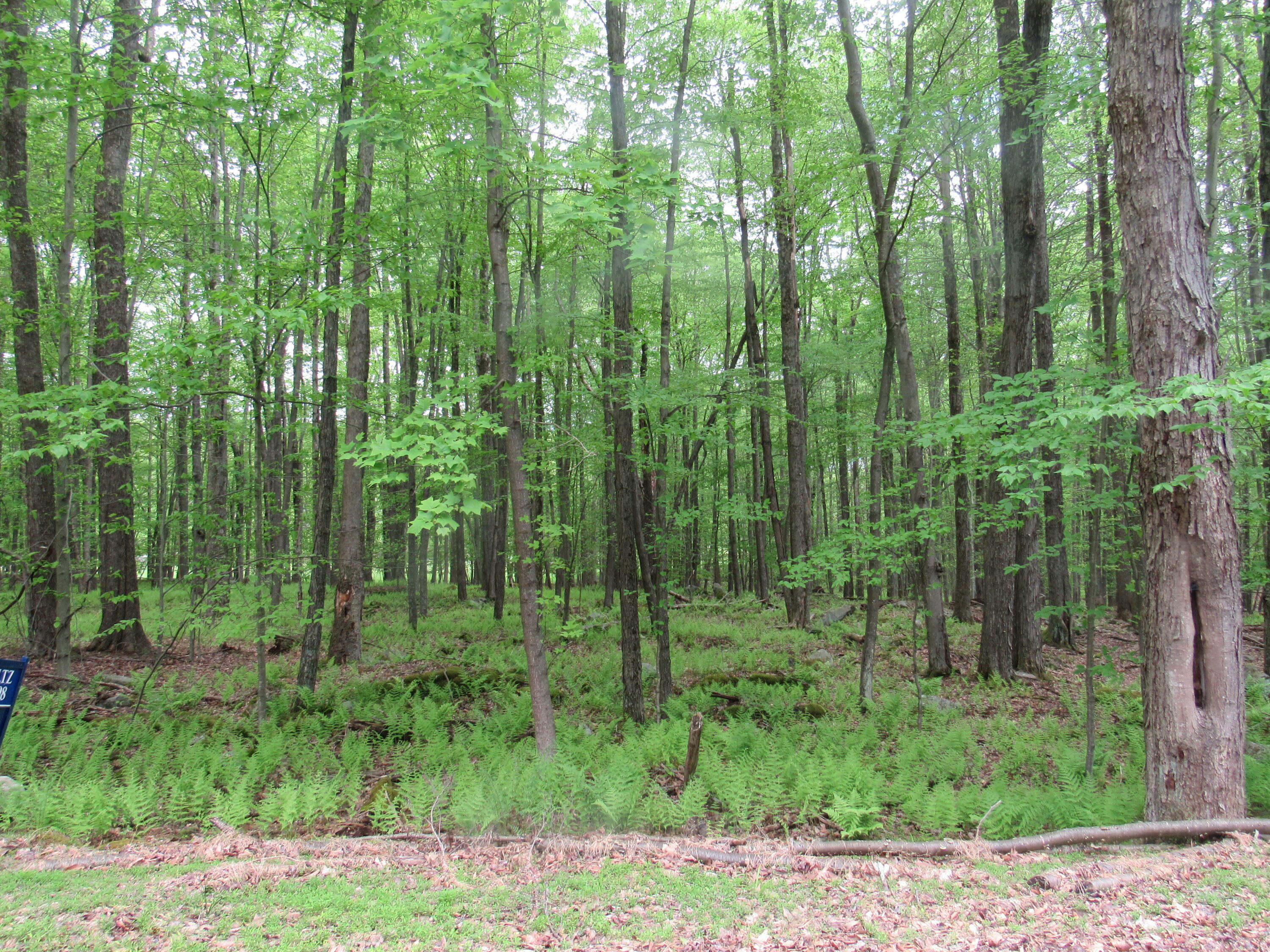 Property Photo: 17 Cap Haiten PA 15801