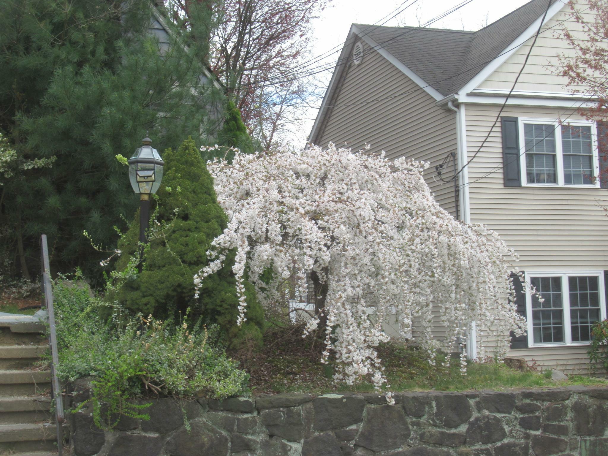 Property Photo: 739 Lindbergh Avenue NY 10566