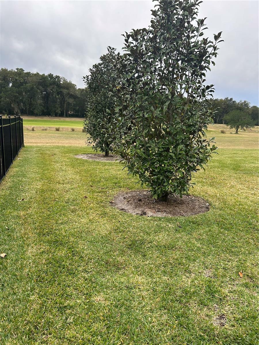Property Photo: 31771 Red Tail Boulevard FL 32776