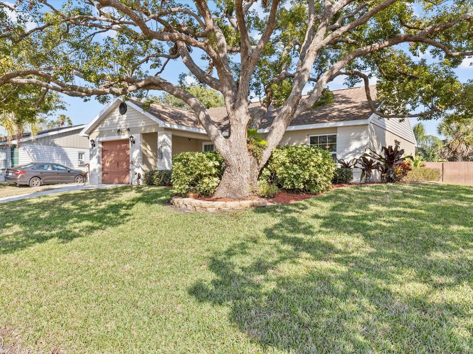 Property Photo:  807 Cavemill Way  FL 34689 