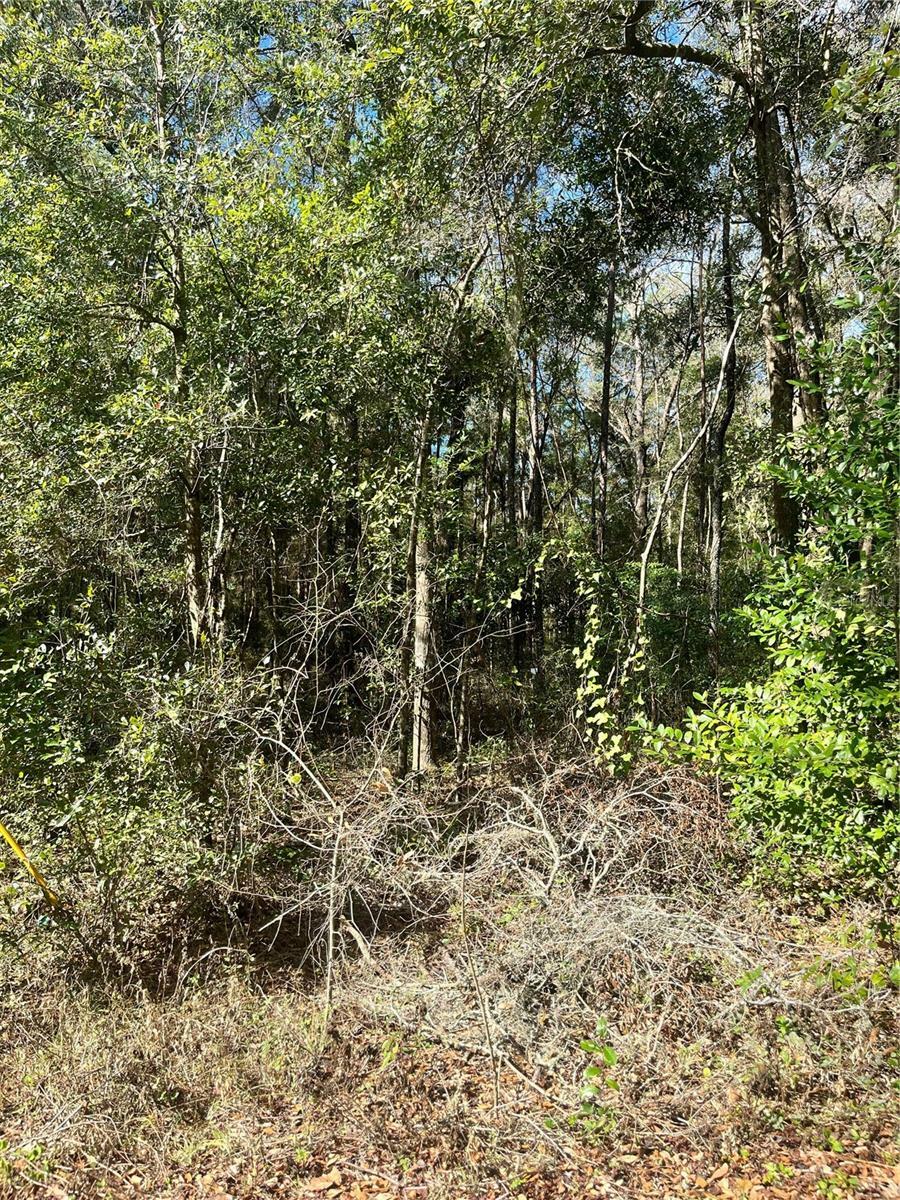 Property Photo:  Tbd NW 65th Court  FL 34482 