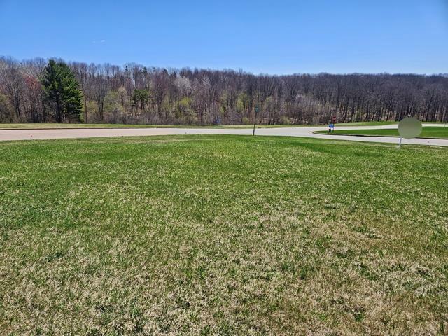 Lot 3 Lucille Lane  Neillsville WI 54456 photo