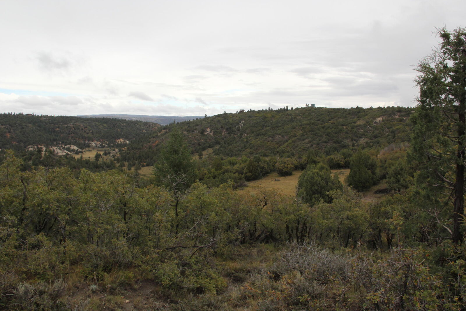 Property Photo:  1980 W Manitoban Trail  UT 84762 