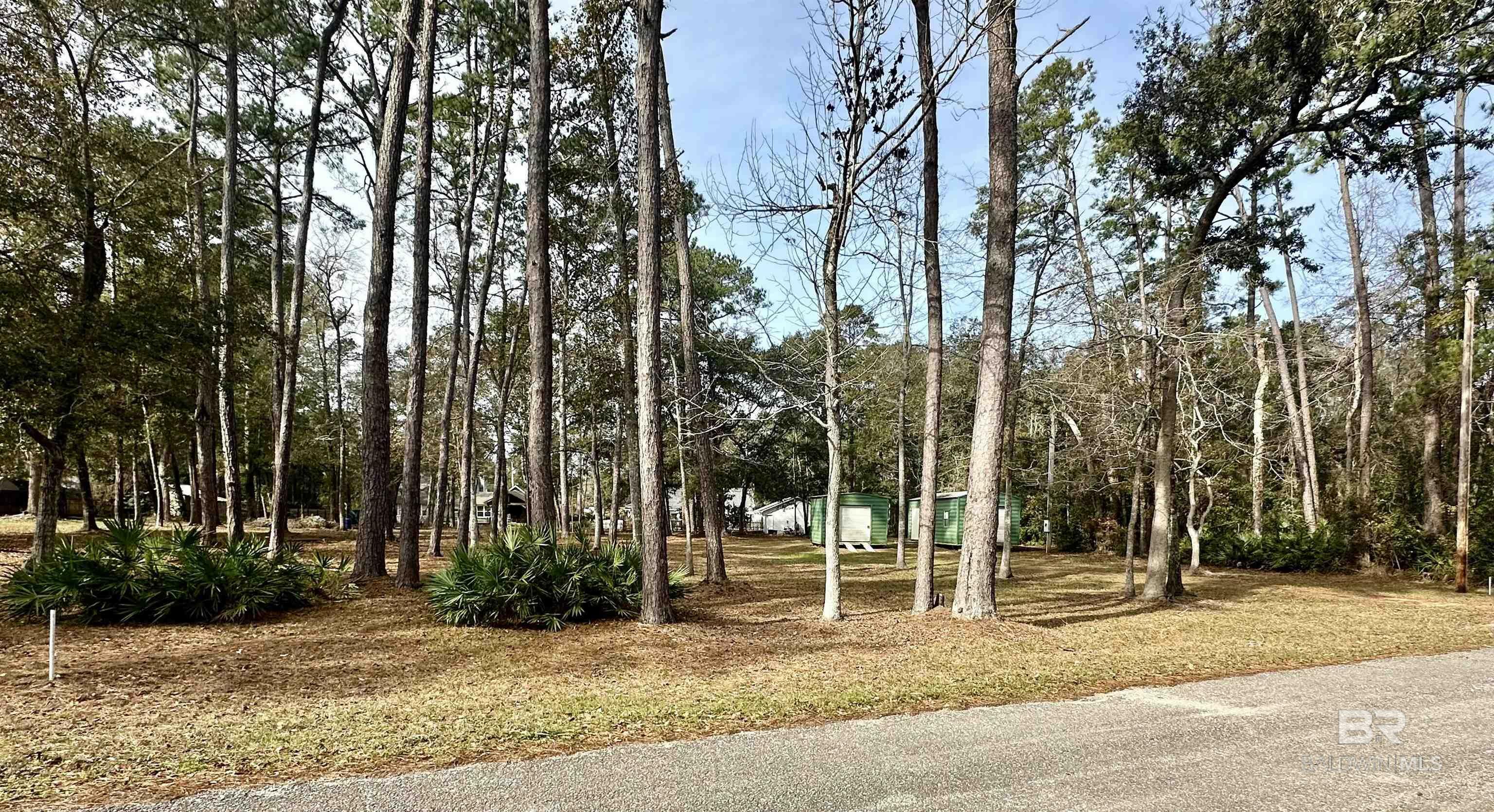 Property Photo:  Lot 48 River Oaks Drive  AL 36535 