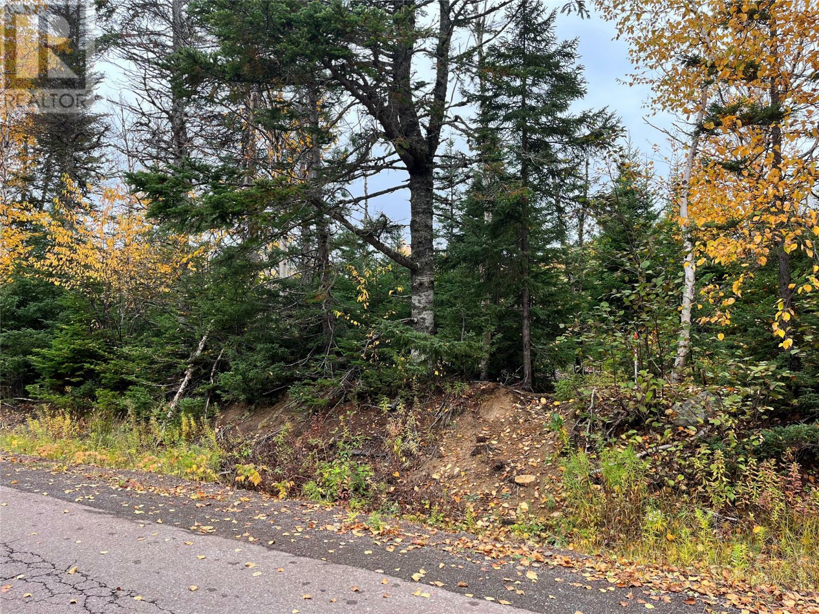Property Photo:  322 Main Street  NL A0G 3N0 