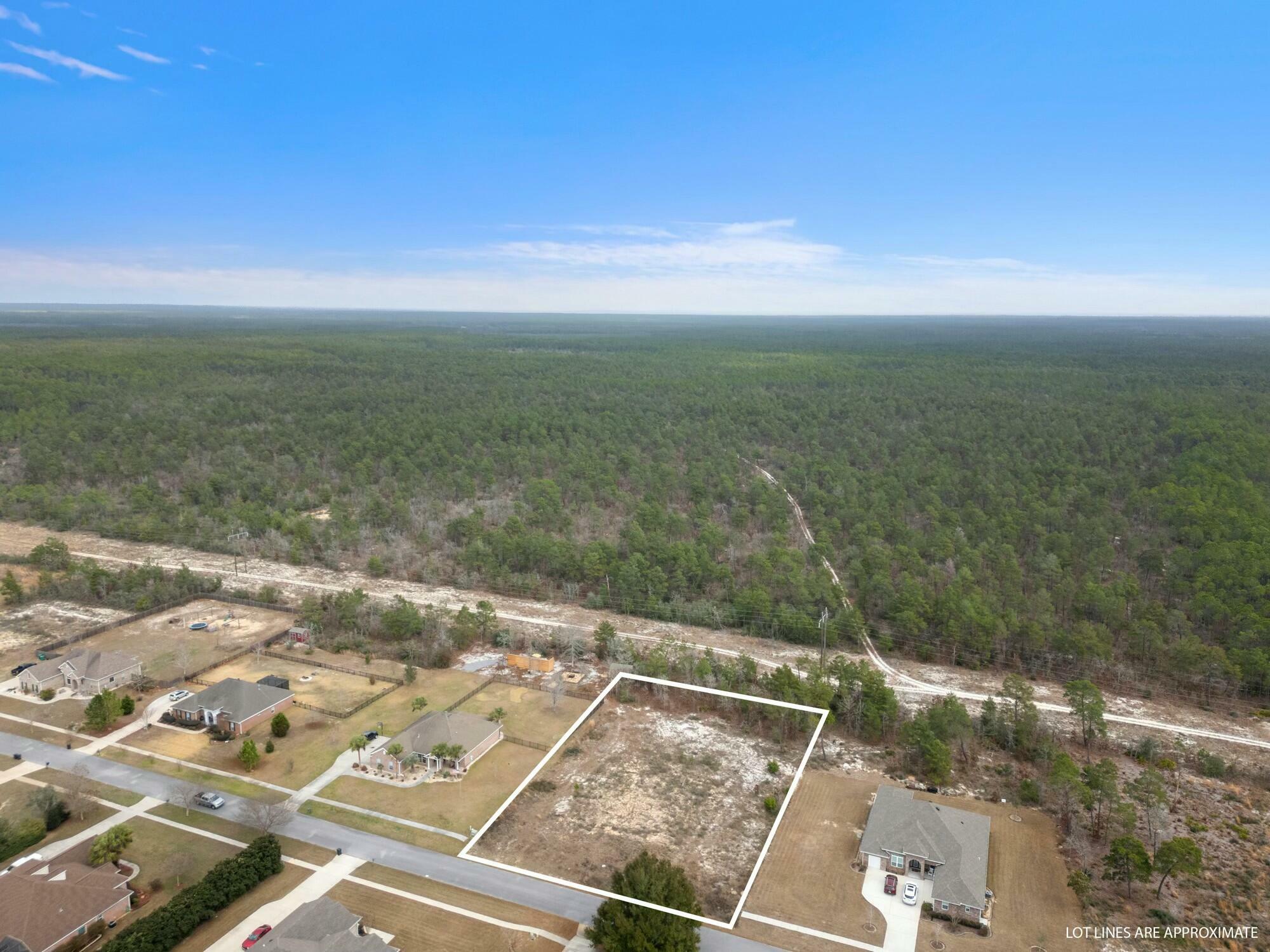 Property Photo: 198 Brushed Dune Circle FL 32439