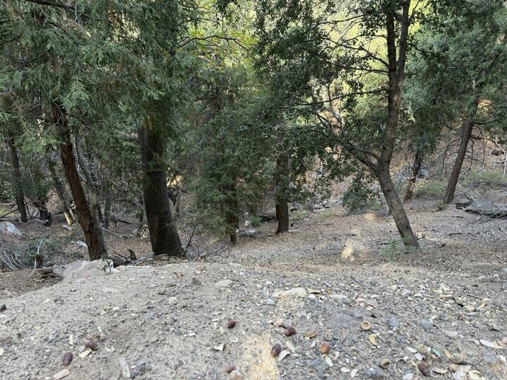 Property Photo:  0 Mojave River Road  CA 92322 