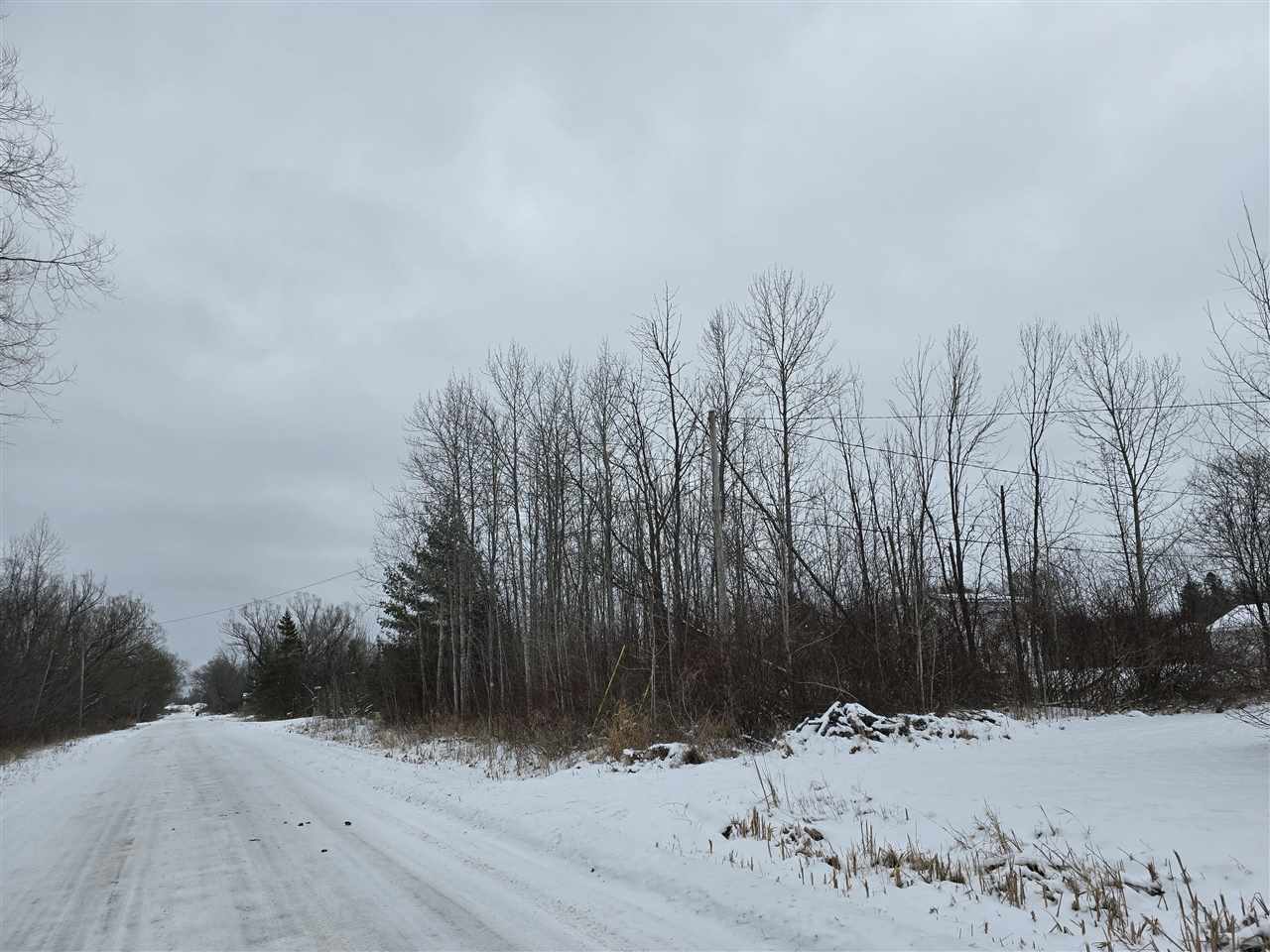 Property Photo: Tbd N E Lot #8 MI 49721